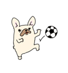 ずんどうフレンチブルドッグ（個別スタンプ：40）