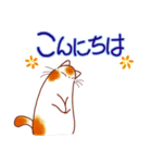 和風猫＜よく使う敬語5 ＞（個別スタンプ：4）