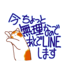 和風猫＜よく使う敬語5 ＞（個別スタンプ：8）