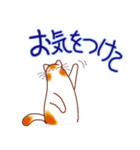 和風猫＜よく使う敬語5 ＞（個別スタンプ：9）