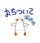 和風猫＜よく使う敬語5 ＞（個別スタンプ：12）