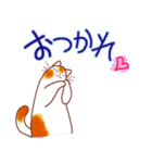和風猫＜よく使う敬語5 ＞（個別スタンプ：14）