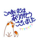 和風猫＜よく使う敬語5 ＞（個別スタンプ：19）