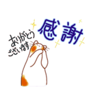 和風猫＜よく使う敬語5 ＞（個別スタンプ：20）