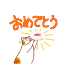 和風猫＜よく使う敬語5 ＞（個別スタンプ：22）