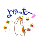 和風猫＜よく使う敬語5 ＞（個別スタンプ：23）