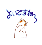 和風猫＜よく使う敬語5 ＞（個別スタンプ：27）