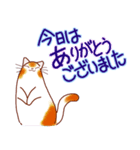 和風猫＜よく使う敬語5 ＞（個別スタンプ：31）