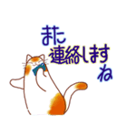 和風猫＜よく使う敬語5 ＞（個別スタンプ：34）