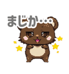 ドットくま蔵の日常スタンプ（個別スタンプ：11）