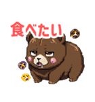 ドットくま蔵の日常スタンプ（個別スタンプ：22）