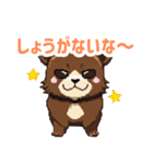 ドットくま蔵の日常スタンプ（個別スタンプ：28）