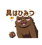 ドットくま蔵の日常スタンプ（個別スタンプ：36）