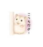 なかよしハムスター兄弟カフェモカ＆すふれ（個別スタンプ：13）