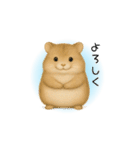 なかよしハムスター兄弟カフェモカ＆すふれ（個別スタンプ：17）