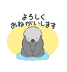 【敬語】シンプルラッコ（個別スタンプ：12）
