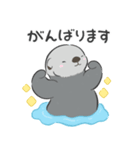 【敬語】シンプルラッコ（個別スタンプ：24）
