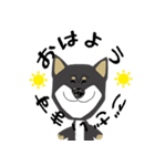 黒柴犬のポップアップスタンプ（個別スタンプ：1）