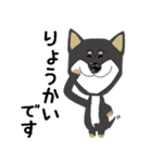 黒柴犬のポップアップスタンプ（個別スタンプ：2）
