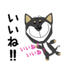黒柴犬のポップアップスタンプ（個別スタンプ：3）