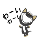 黒柴犬のポップアップスタンプ（個別スタンプ：5）