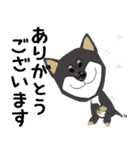 黒柴犬のポップアップスタンプ（個別スタンプ：8）