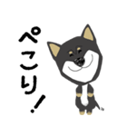 黒柴犬のポップアップスタンプ（個別スタンプ：12）