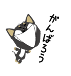 黒柴犬のポップアップスタンプ（個別スタンプ：13）