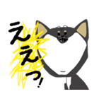 黒柴犬のポップアップスタンプ（個別スタンプ：16）