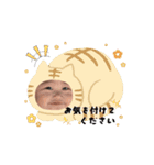 動くあおしゃんスタンプ（個別スタンプ：5）