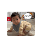 動くあおしゃんスタンプ（個別スタンプ：11）