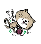 ネコちゃんのにゃかにゃか日常♪スタンプ（個別スタンプ：12）