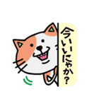 ネコちゃんのにゃかにゃか日常♪スタンプ（個別スタンプ：16）