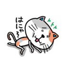 ネコちゃんのにゃかにゃか日常♪スタンプ（個別スタンプ：19）