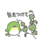 野鳥たくさん（個別スタンプ：16）