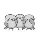 野鳥たくさん（個別スタンプ：23）