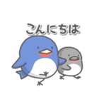 野鳥たくさん（個別スタンプ：36）