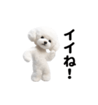 踊る♪トイプードル（個別スタンプ：4）