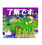 沖縄の市場(まちぐゎー)大好き！（個別スタンプ：24）