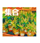 沖縄の市場(まちぐゎー)大好き！（個別スタンプ：33）
