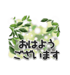大人のやさしい敬語（個別スタンプ：1）