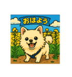 マルポメの可愛いスタンプ（個別スタンプ：3）