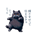 エッホで伝える旦那ねこ【面白い】（個別スタンプ：5）