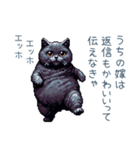エッホで伝える旦那ねこ【面白い】（個別スタンプ：7）