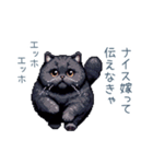 エッホで伝える旦那ねこ【面白い】（個別スタンプ：11）