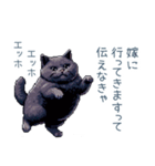 エッホで伝える旦那ねこ【面白い】（個別スタンプ：14）