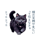 エッホで伝える旦那ねこ【面白い】（個別スタンプ：15）