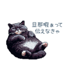 エッホで伝える旦那ねこ【面白い】（個別スタンプ：24）