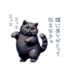 エッホで伝える旦那ねこ【面白い】（個別スタンプ：26）
