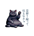 エッホで伝える旦那ねこ【面白い】（個別スタンプ：30）
